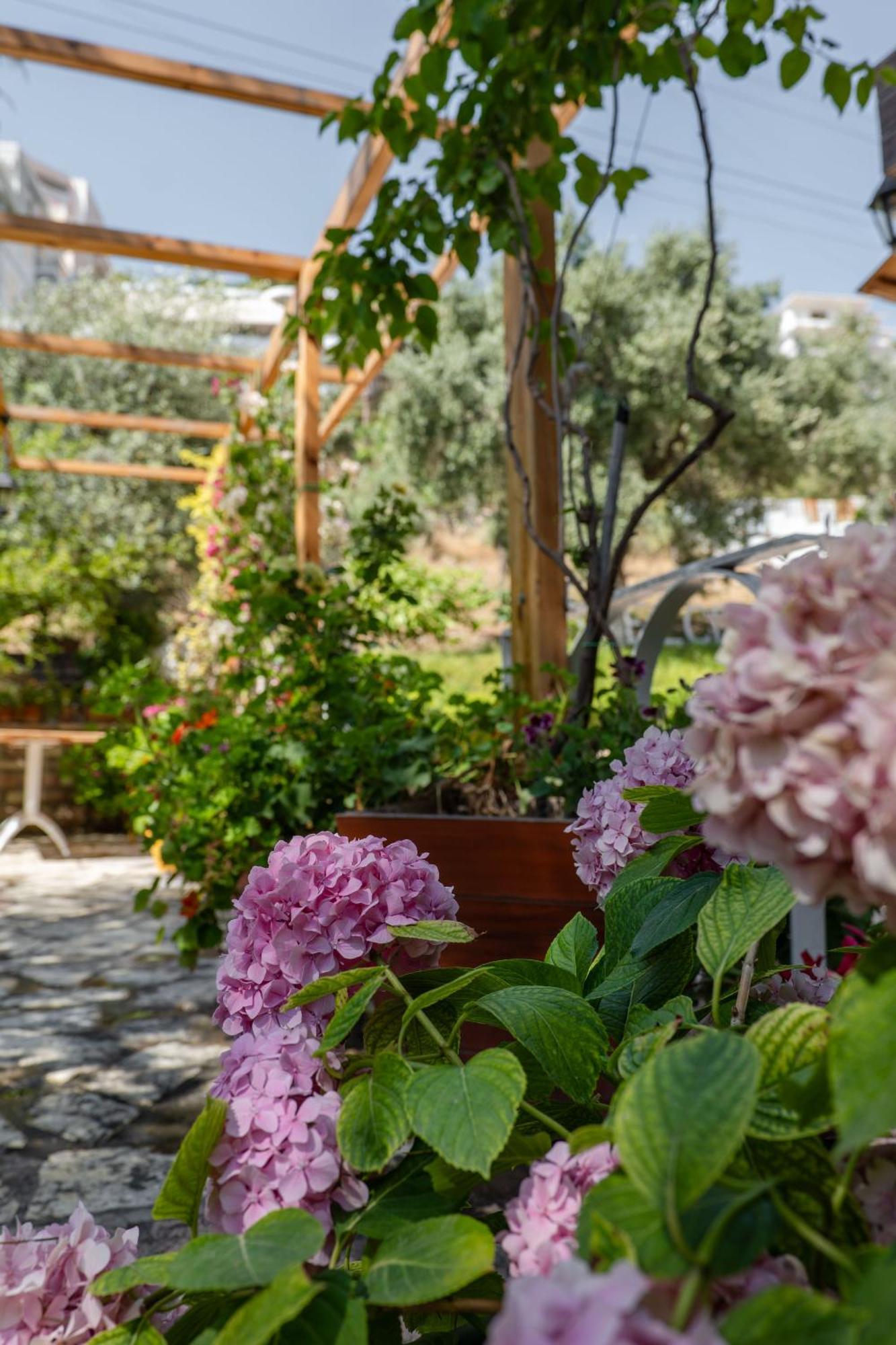 Villa Green Garden Sarandë Exteriör bild